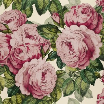 The Rose Tuberose PJD6002/02