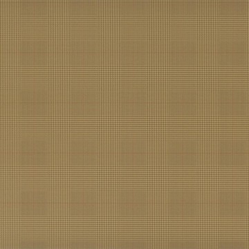 Egarton Plaid Tweed PRL017/16