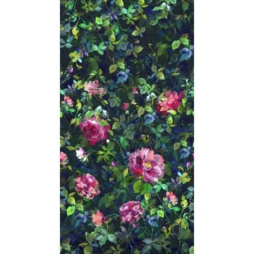 Gertrude Rose Fuchsia PDG1154/01 (paneeli)