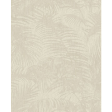 Oasis 317300
