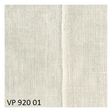 VP_920-01