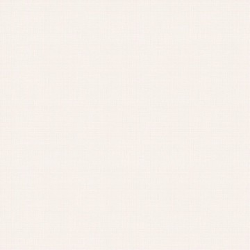 Linen Plain 139 023