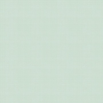 Linen Plain 139 024