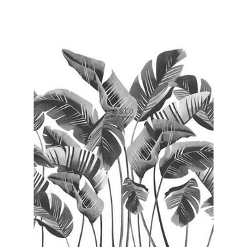 158907 Banana Leaves b-w