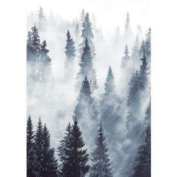 Foggy Forest 158909 (paneeli)