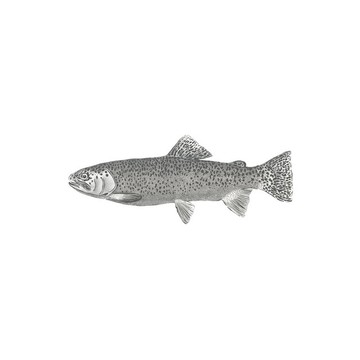 Fish 158933 (paneeli)