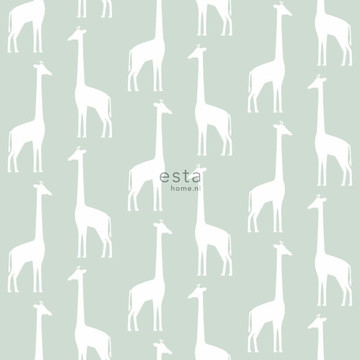 Giraffes 153-139 058