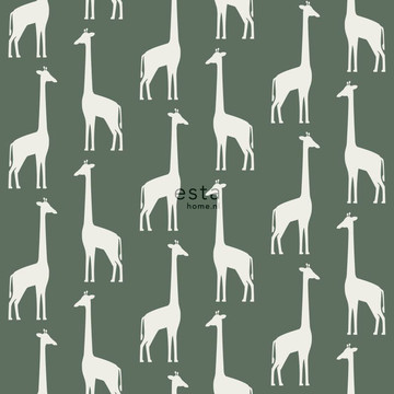 Giraffes 153-139 060