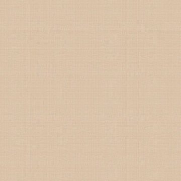 Linen Plain 158-139 472