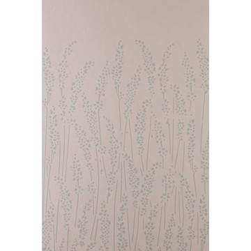 Feather Grass BP 5103