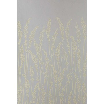 Feather Grass 5104