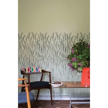 Feather Grass 5105 amb