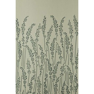 Feather Grass 5105