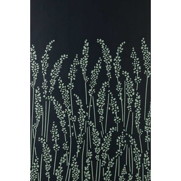 Feather Grass 5106