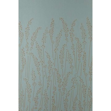 Feather Grass 5107