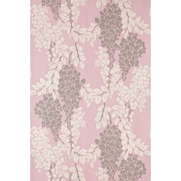 Wisteria BP 2209