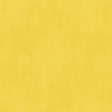 Plain Yellow GV24201