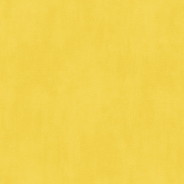 Plain Yellow GV24201