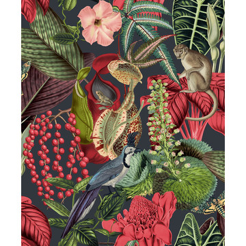 Jungle Fever JF2201