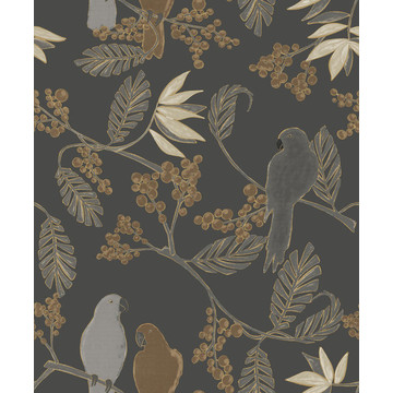 Jungle Fever JF3401