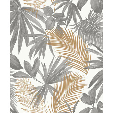 Jungle Fever JF3601