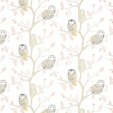 Little Owls Powder 112628