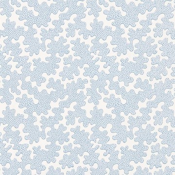 Zori Awakening/Cornflower 112933