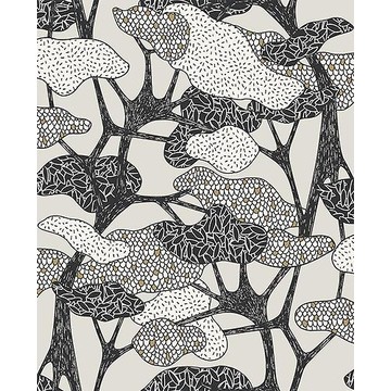 Botany 36540