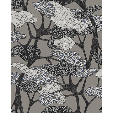 Botany 36541