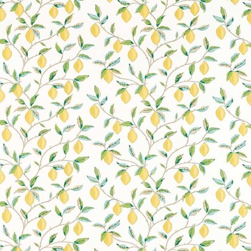 Lemon Tree Lemon/Bayleaf 226909 (kangas)