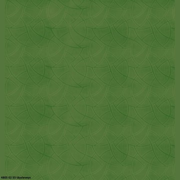 CAMENGO_48050255 TL