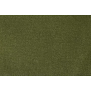 Plain Velvet Olive Green F111/11042