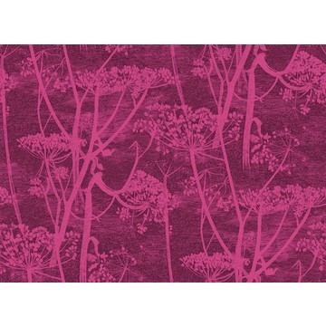 Cow Parsley Velvet F111/5017