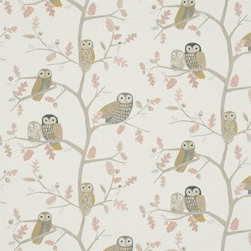 Little Owls Powder 120934