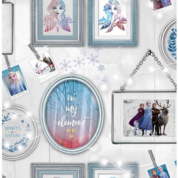 Frozen Frames 108239