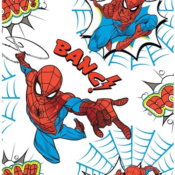 Spiderman 108553