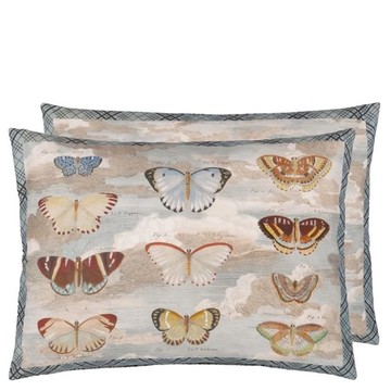 Butterfly Studies Parchment 60x45cm 