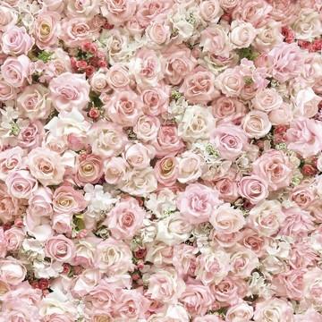 wall-of-roses-mural-arch-wallpaper