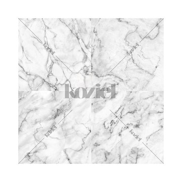 White Gray Marble 8888-220