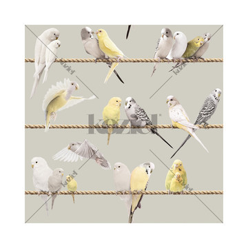 Lovebirds Warm Grey 8888-406