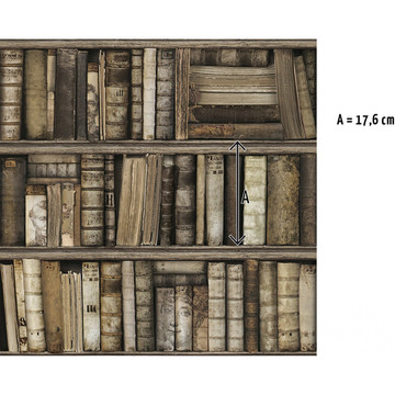 8888-561 antique-bookshelves info