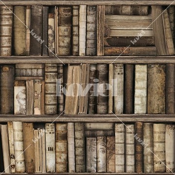 Antique bookshelves 8888-561