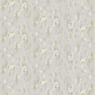 Antique painted wall - Gray 8888-75B