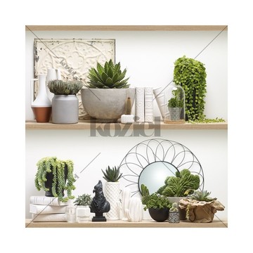 Cactus shelves 8888-850 (paneeli)