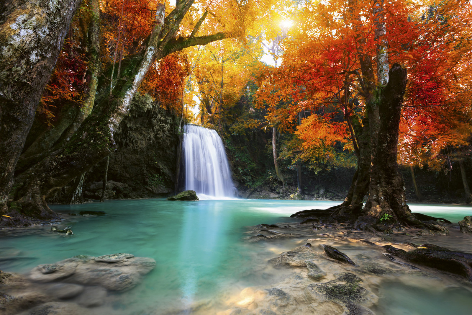 Deep Forest Waterfall MS-5-0083 - Luonto ja maisemat - KUVATAPETIT JA ...