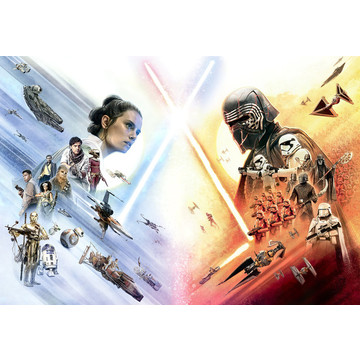 Star Wars Movie Poster Wide 8-4114
