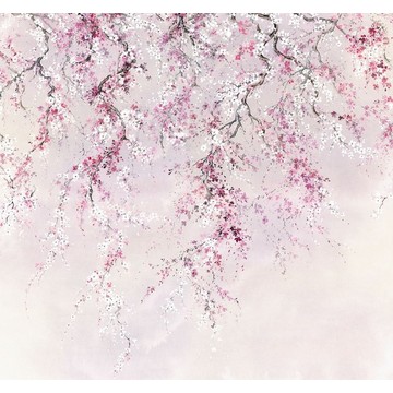 Kirschblüten INX6-013