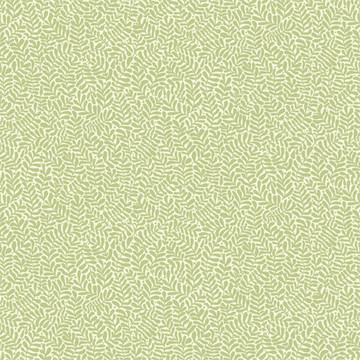 Anna 55001