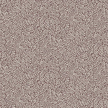 Anna 55005