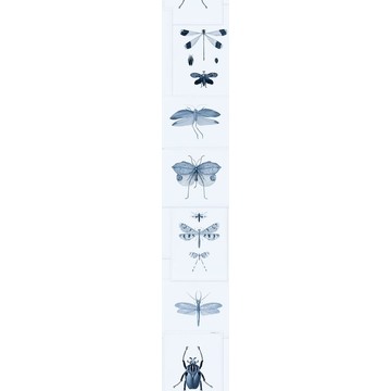ENTOMOLOGY Blue Roll B WP20235